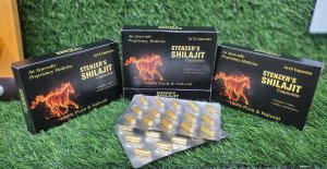 STENZER SHILAJIT CAP